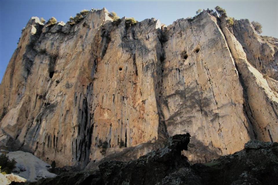 Vila Mesoncillo Neo Hornos Exteriér fotografie