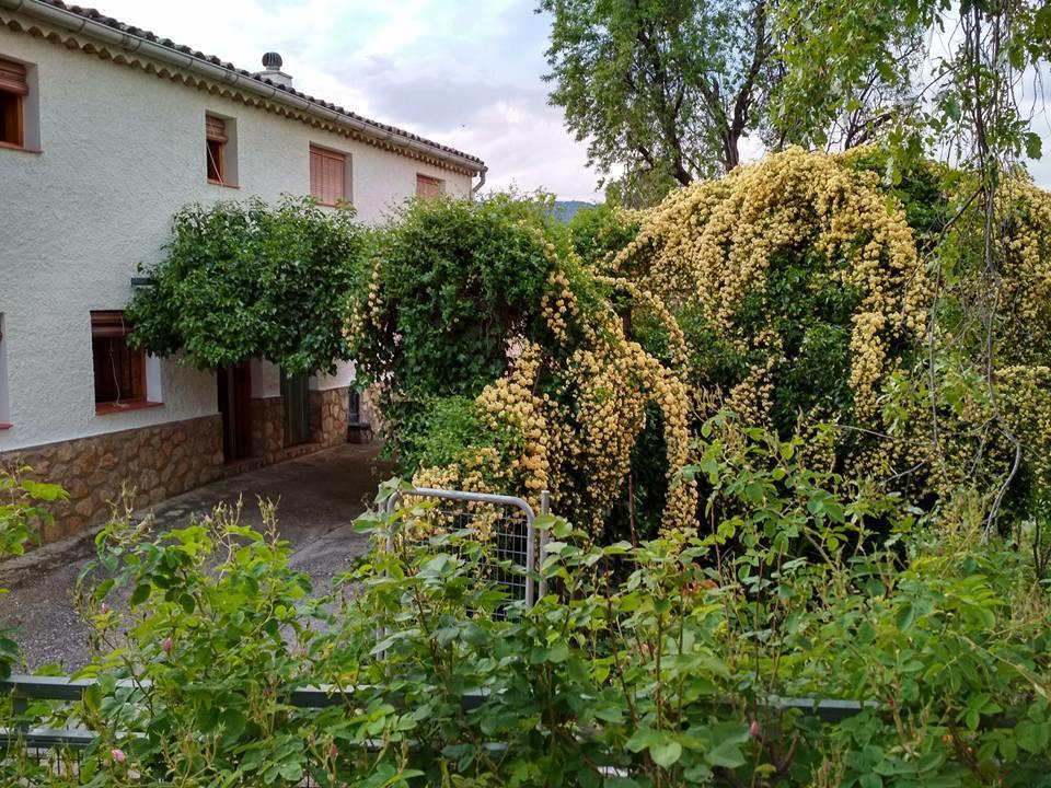 Vila Mesoncillo Neo Hornos Exteriér fotografie