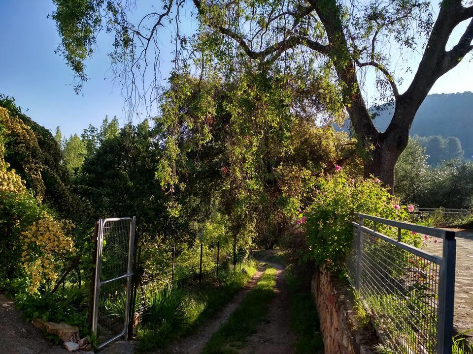 Vila Mesoncillo Neo Hornos Exteriér fotografie